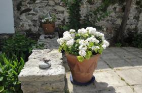 Le Buzet Bleu - photo 11