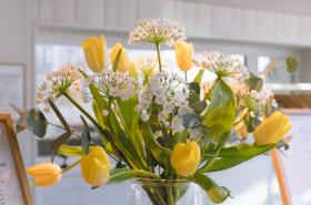 Fleur de Sel - photo 20